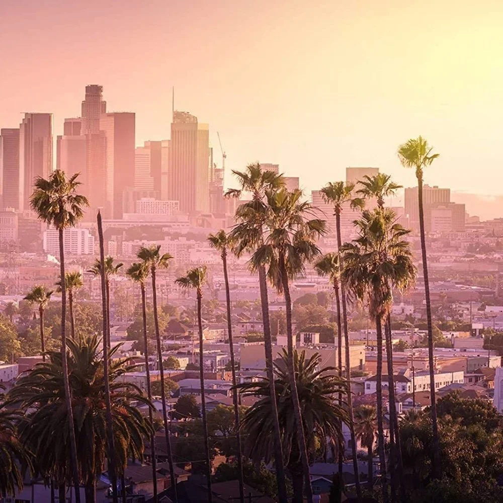 Los Angeles Pink Sunset City Skyline Cityscape Wall Indoor Pretty Decor Tapestry